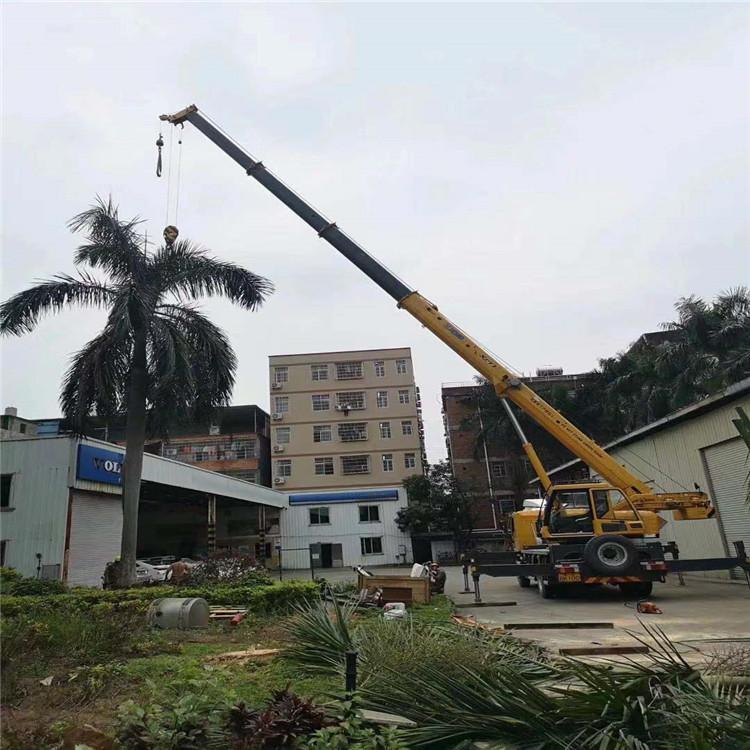 高阳县吊车出租事故案例分析：如何避免设备倾覆风险